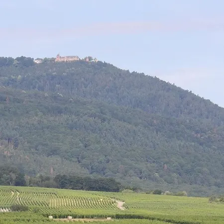 Charming 3-star Furnished Tourist In Apartament Barr